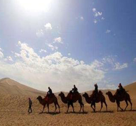 1542596281722345.jpg 標(biāo)題-1.jpg