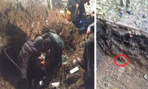 1548724047824367.png qqqqqqqqqqqqq.png