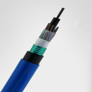 1563524664856843.jpg mgtsv.jpg