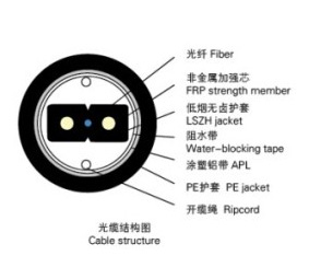 1564031798760290.jpg 標1.jpg